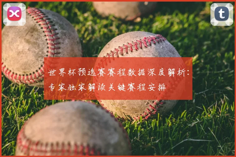 世界杯预选赛赛程数据深度解析:专家独家解读关键赛程安排