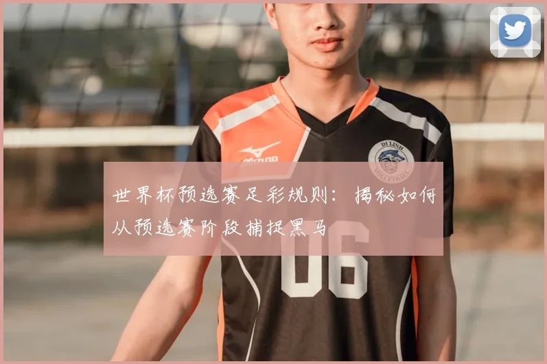 世界杯预选赛足彩规则：揭秘如何从预选赛阶段捕捉黑马