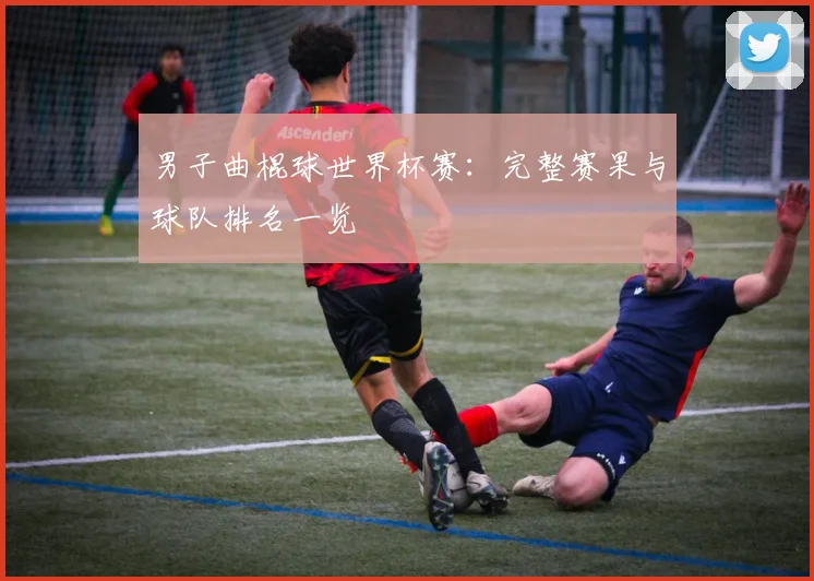 男子曲棍球世界杯赛:完整赛果与球队排名一览