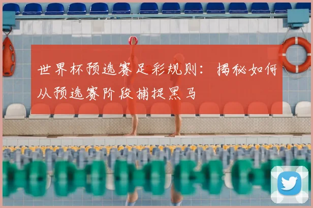 世界杯预选赛足彩规则：揭秘如何从预选赛阶段捕捉黑马