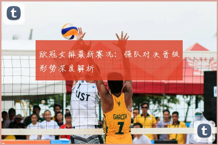 欧冠女排最新赛况：强队对决晋级形势深度解析