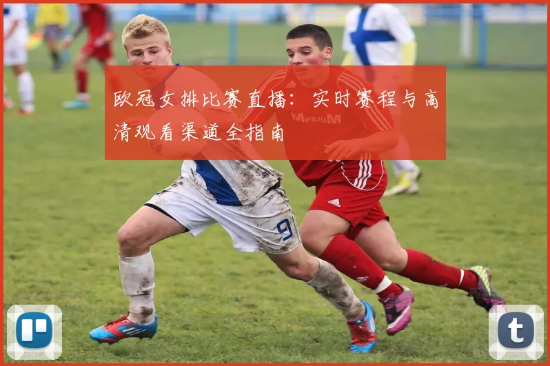 欧冠女排比赛直播：实时赛程与高清观看渠道全指南