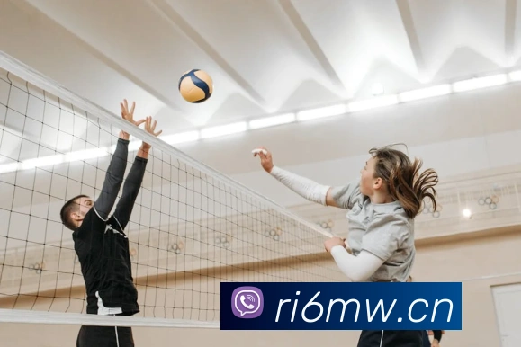 华体体育官网登录平台生态图